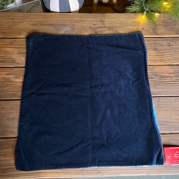 Pottery Barn Soft Velvet Alexia Pillow Cover - Picture 9 of 10